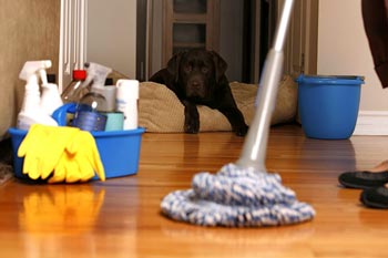 Limpieza a domicilio

